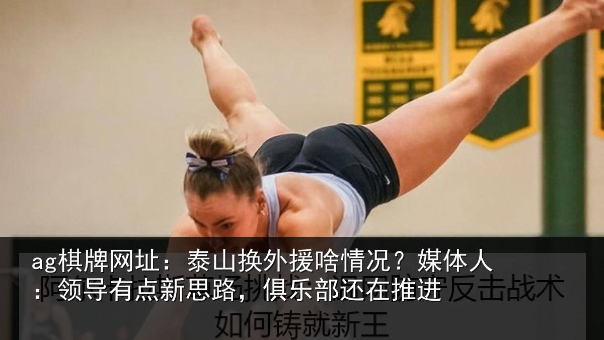 ag棋牌网址:泰山换外援啥情况?媒体人:领导有点新思路,俱乐部还在推进