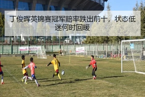 ding-jun-hui-ying-jin-sai-guan-jun-pei-lv-die-chu-qian-shi-zhuang-tai-di-mi-he-shi-hui-nuan-2-454.jpg